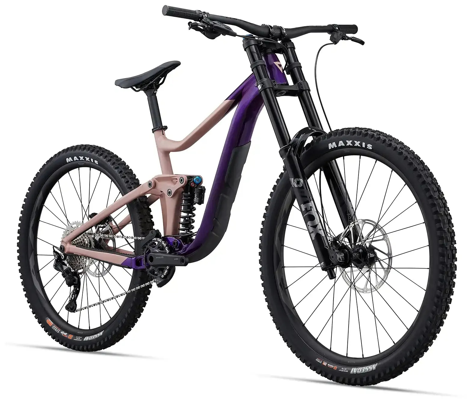 2023 Giant Reign SX
