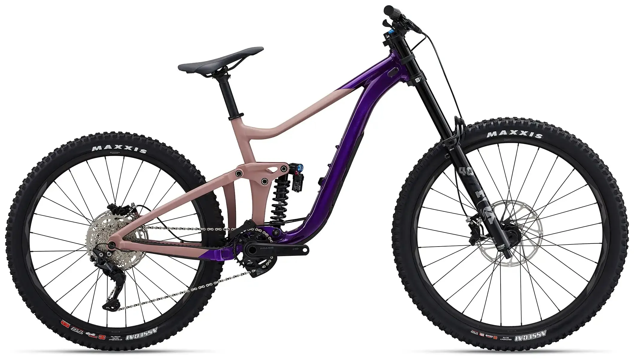 2023 Giant Reign SX