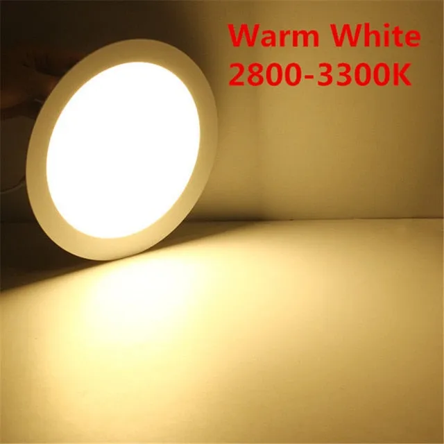 20pcs LED Ceiling Panel Light Dimmable 3W 4W 6W 9W 12W 15W 25W High brightness LED Downlight with adapter AC85-265V indoor Light