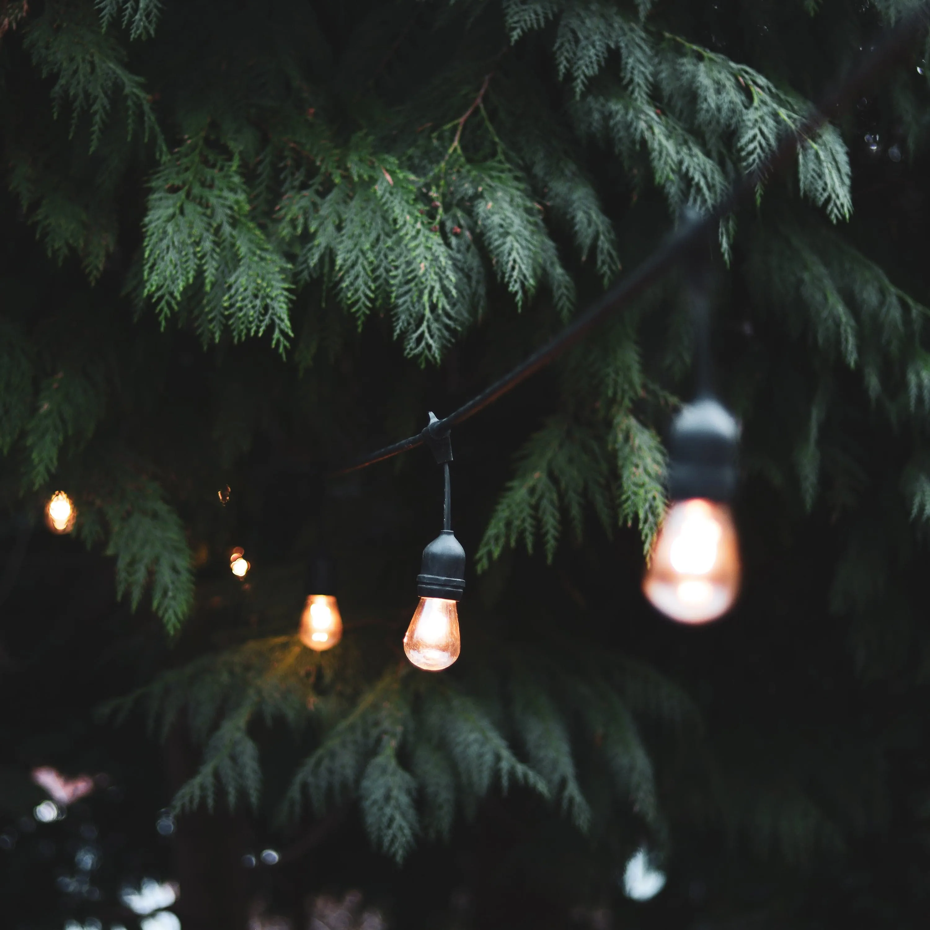 4lite Festoon Outdoor String Light E27 Screw Lamp Holders (Bulbs Not Included)