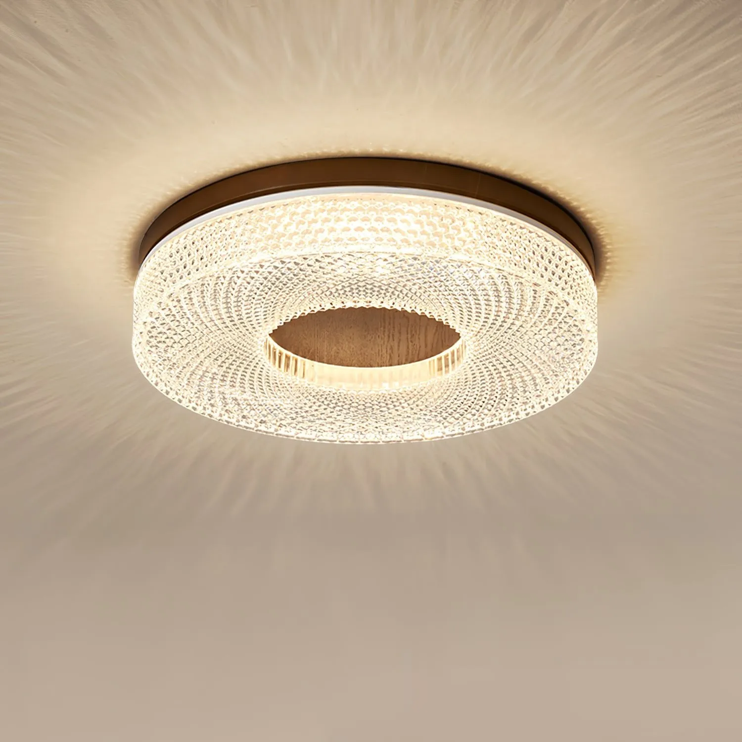 Acrylic Halo Round Ceiling Light