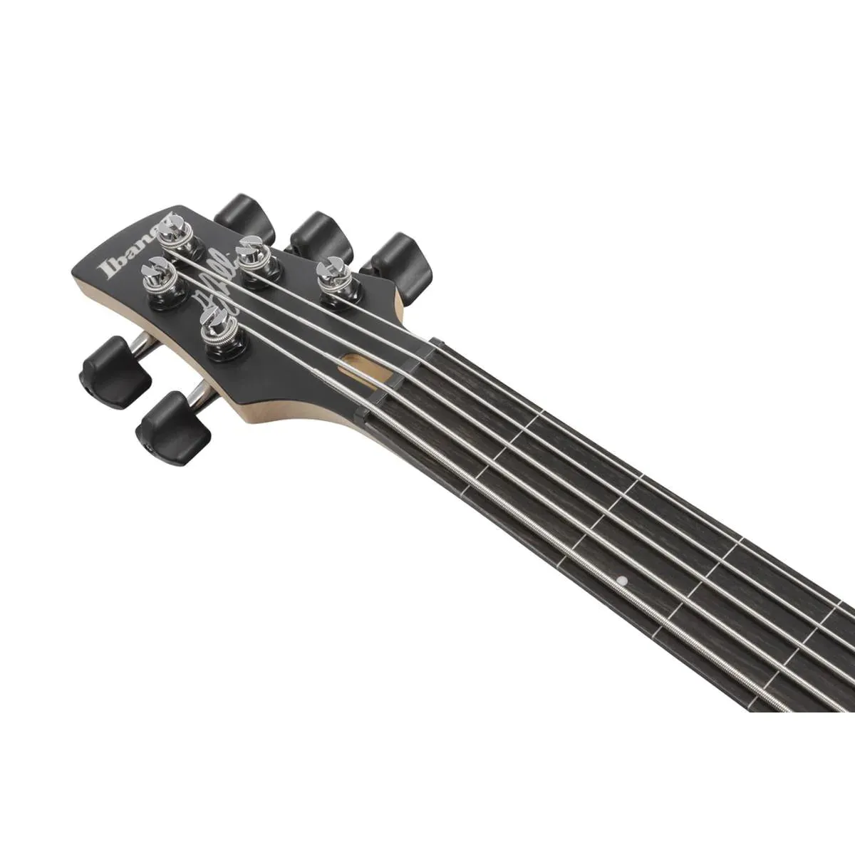 Ibanez GWB25THSWF Bass Guitar 5-String Fretless Silver Wave Burst Flat w/ Gigbag