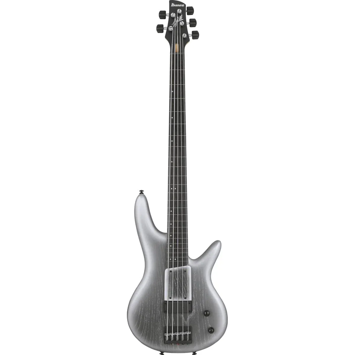 Ibanez GWB25THSWF Bass Guitar 5-String Fretless Silver Wave Burst Flat w/ Gigbag