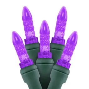 M5 LED Christmas Lights 35L Purple