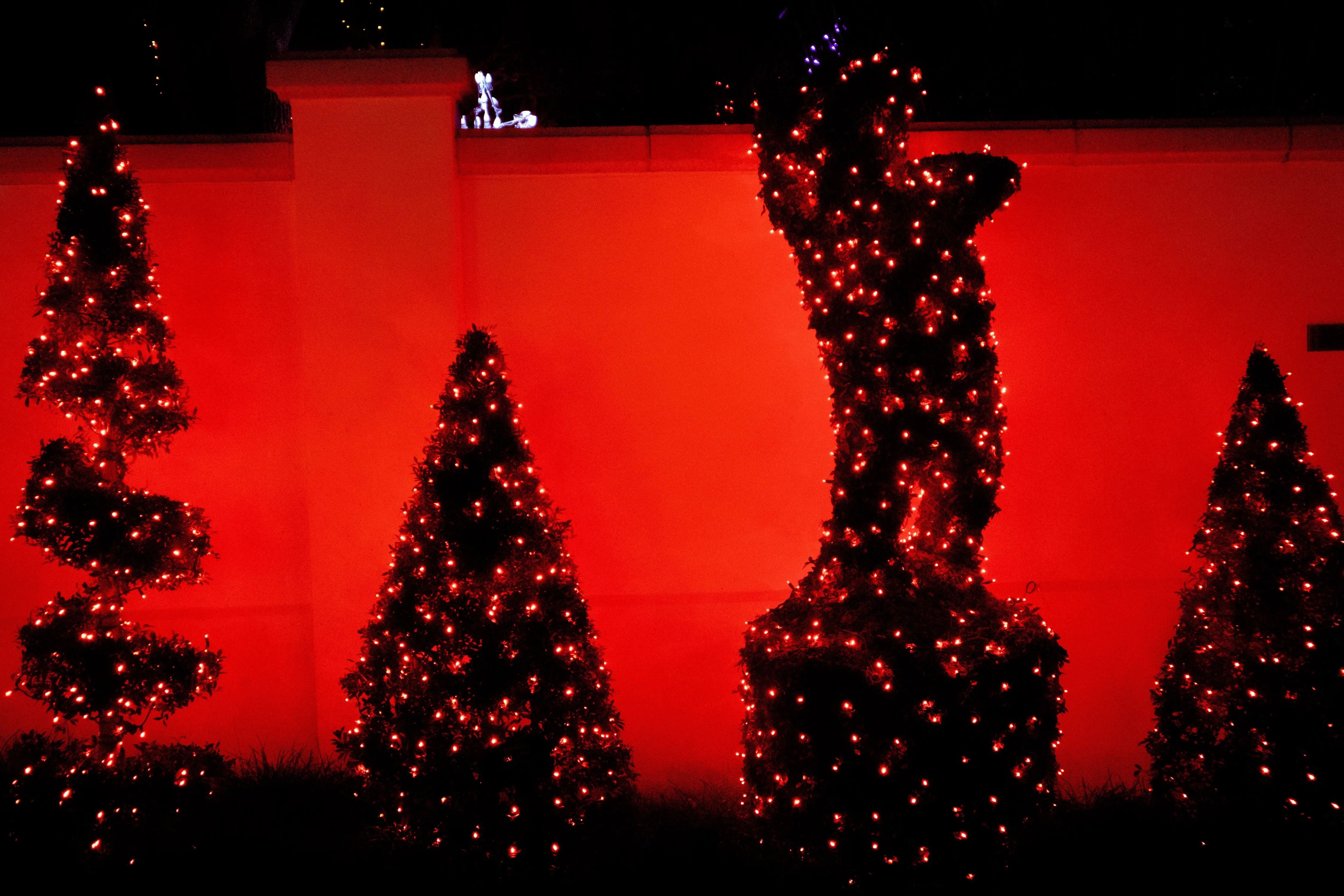 M5 LED Christmas Lights 35L Red