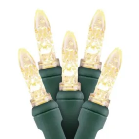 M5 LED Christmas Lights 35L Warm White