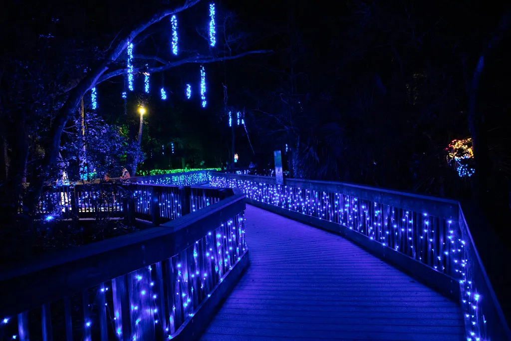 M5 LED Christmas Lights 50L Blue
