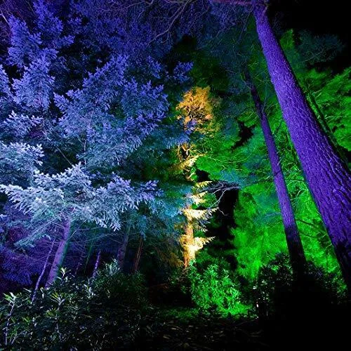 Outdoor Blue LED Flood Bulb, 120W Weatherproof & Anti-Ageing, Dimmable 2-Pack