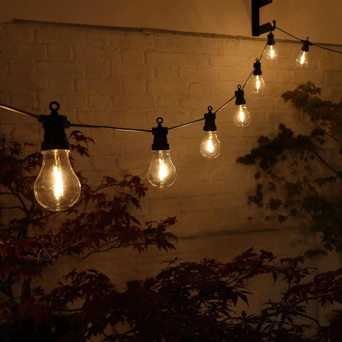 Outdoor Festoon String Lights 20 LED Plastic Black Warm White Weatherproof