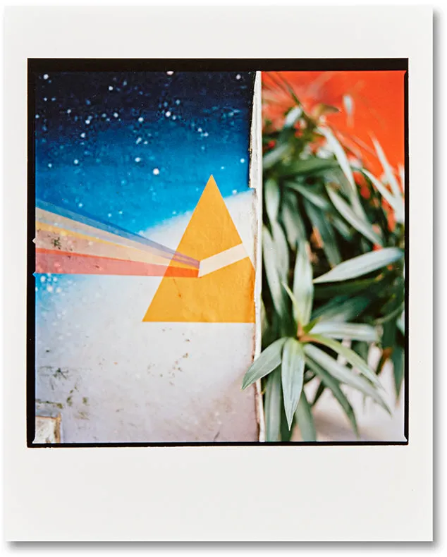 Picture Summer on Kodak Film Special Edition