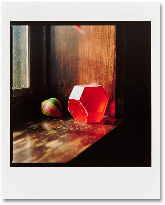 Picture Summer on Kodak Film Special Edition