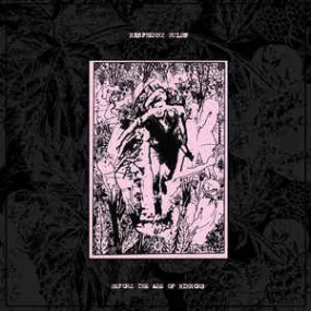 Raspberry Bulbs ‎- Before The Age Of Mirrors NEW LP