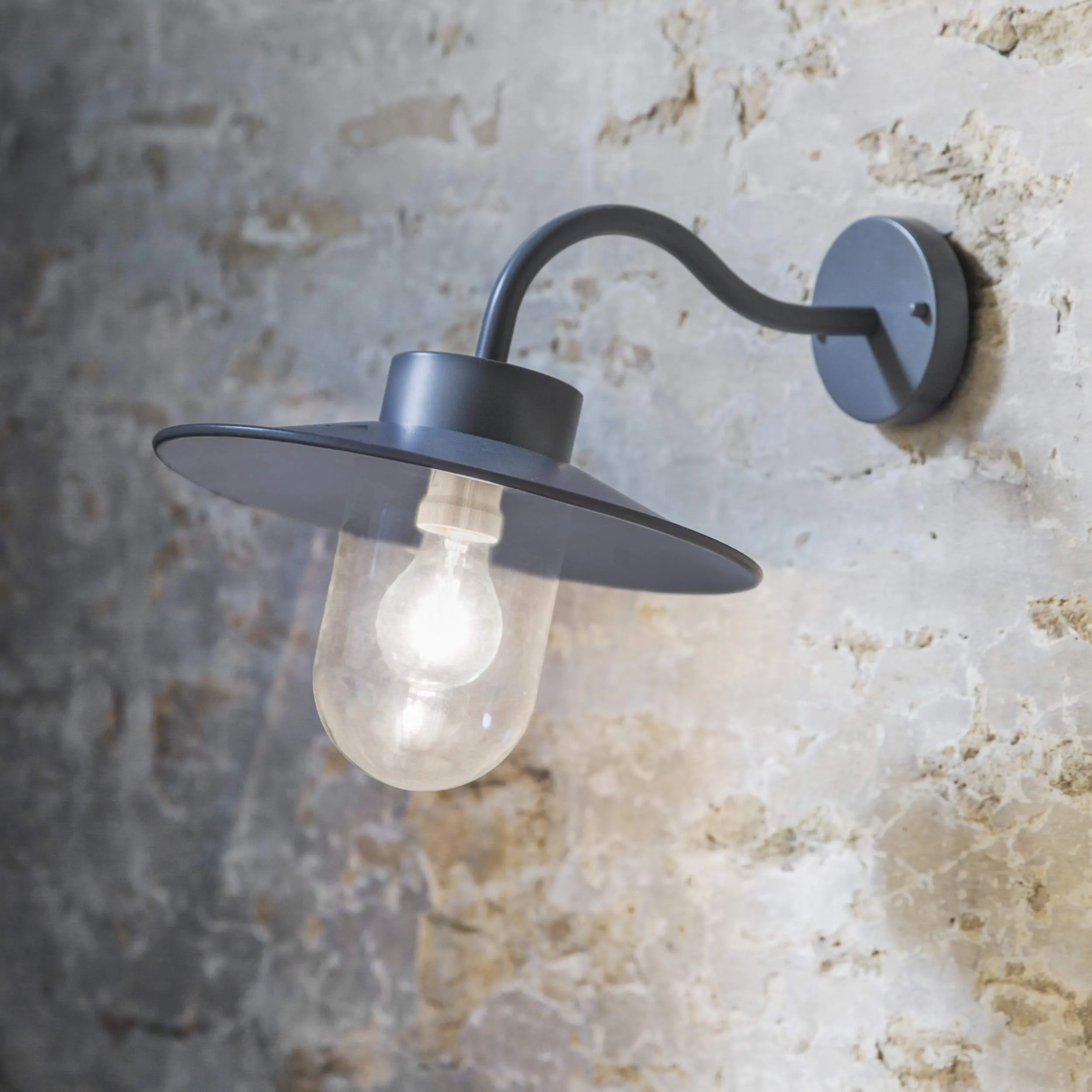 Swan Neck Light