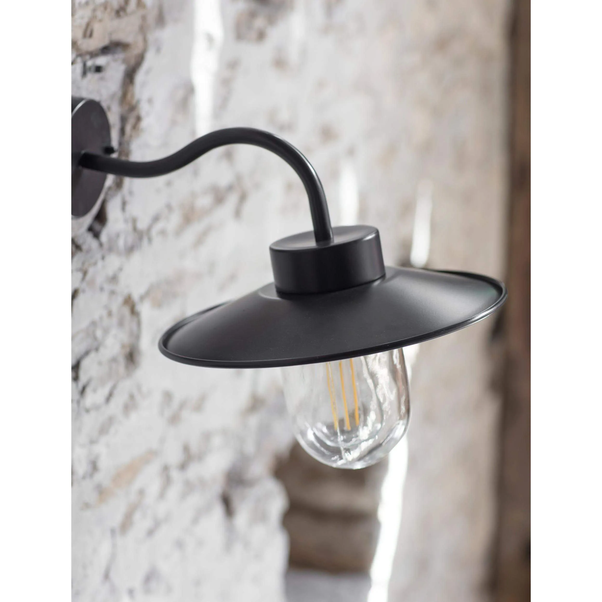 Swan Neck Light