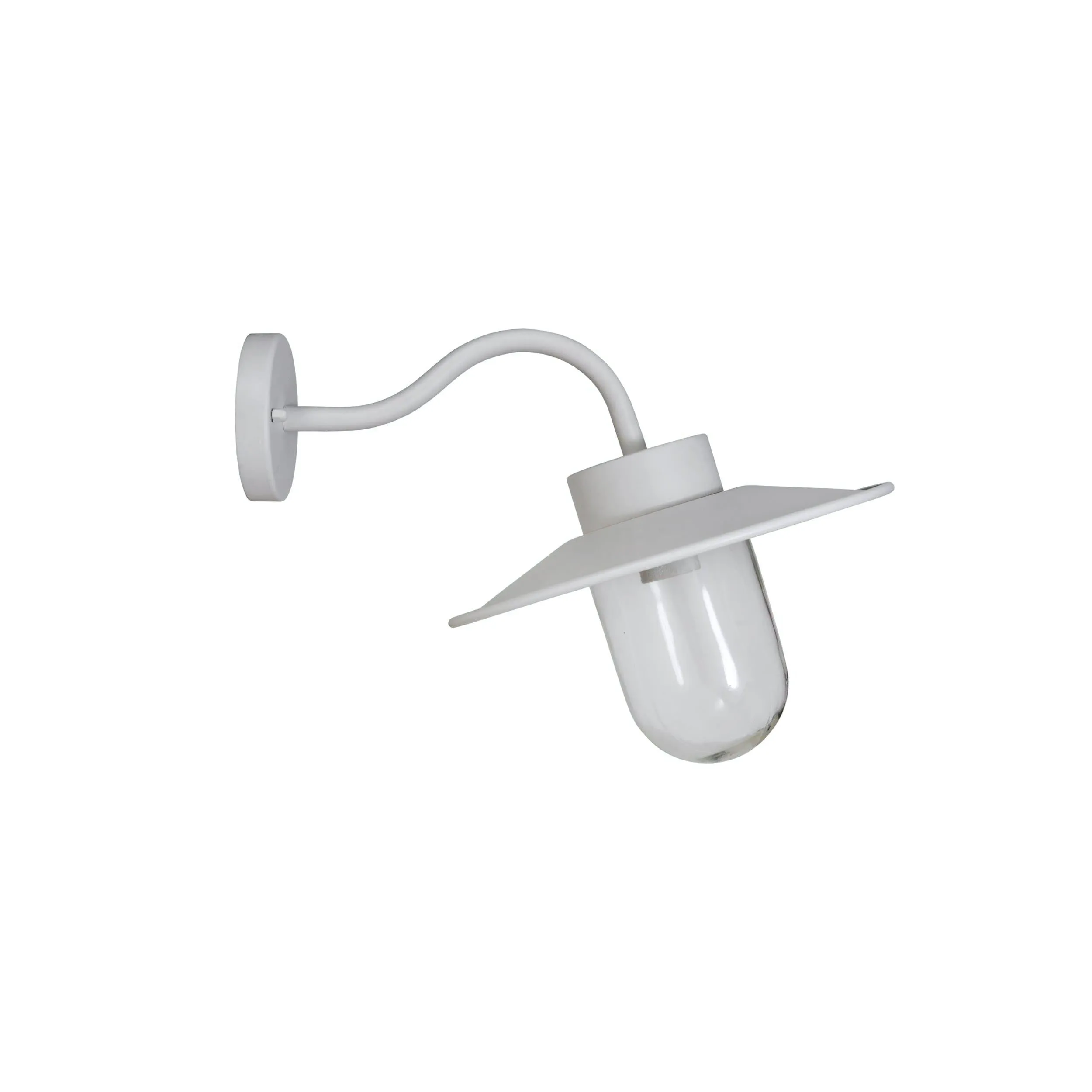 Swan Neck Light