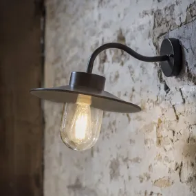 Swan Neck Light