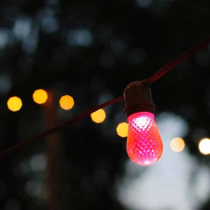 T50 Pink LED Bulbs E26 Bases (SMD) (10 Pack)