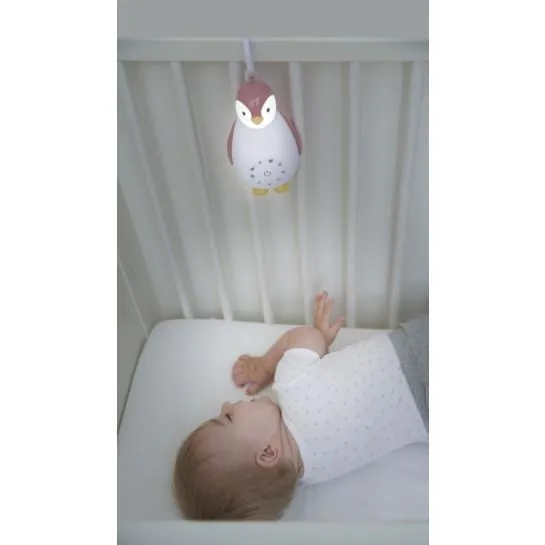 Zazu 3-in-1 Muziekdoosje Zoë De Pinguïn | Roze